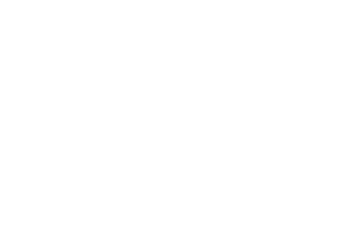 Lime Logistics Logo